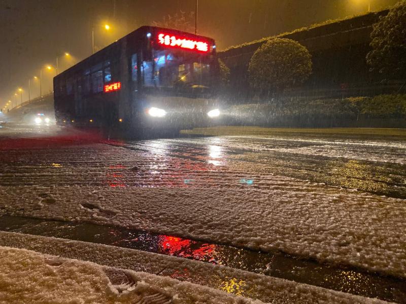 1578556031863556.jpg 揚子.jpg